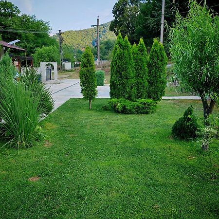 Taverna Gradetului Schitu Topolnitei Buitenkant foto