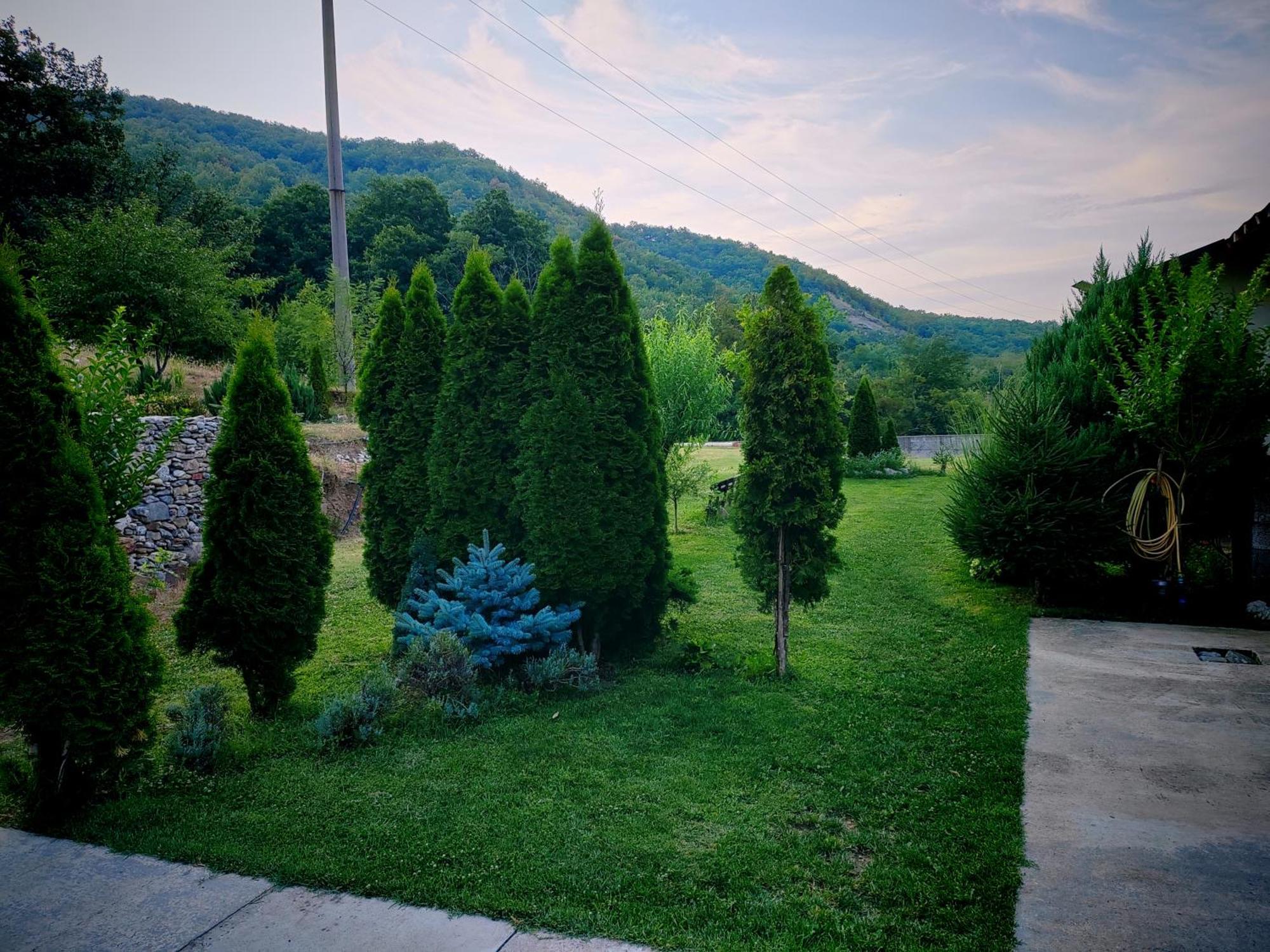 Taverna Gradetului Schitu Topolnitei Buitenkant foto