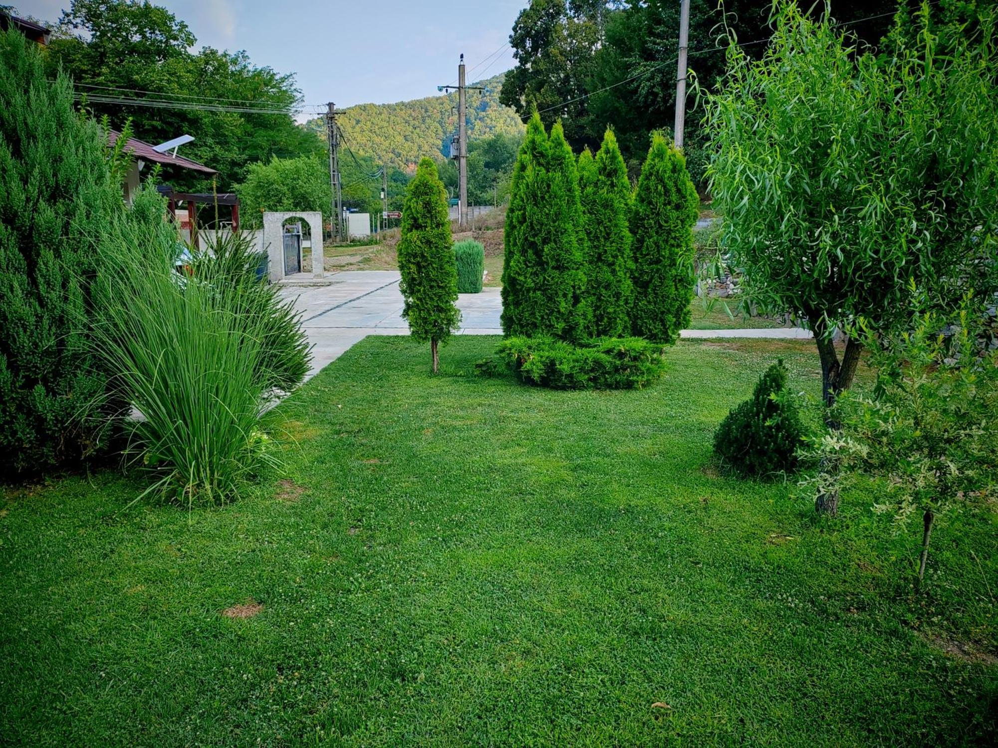 Taverna Gradetului Schitu Topolnitei Buitenkant foto