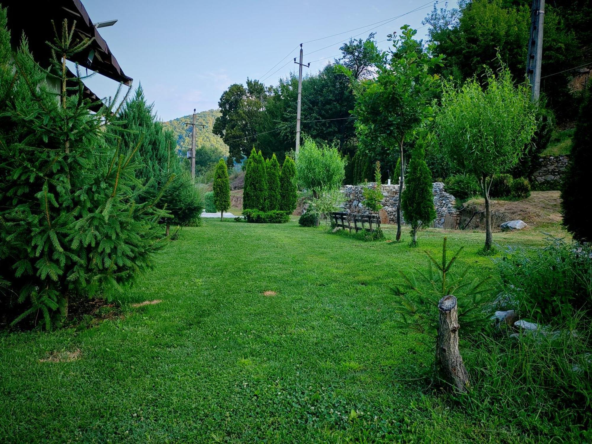 Taverna Gradetului Schitu Topolnitei Buitenkant foto